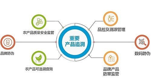正规品质之路 迪适兰托婴幼儿乳糖酶的产品溯源与品牌管理揭秘